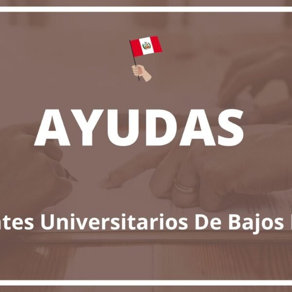 ¿Cuáles son las opciones de ayuda financiera disponibles para estudiantes universitarios de bajos recursos?